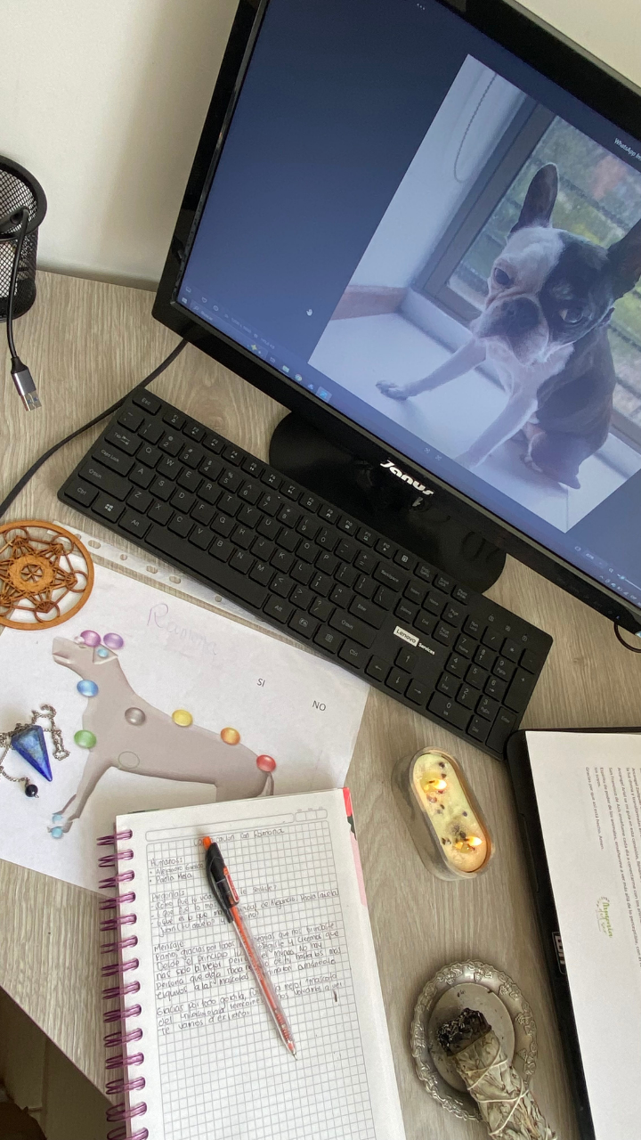 Espacio de trabajo dedicado a preparar cada sesión de comunicación animal